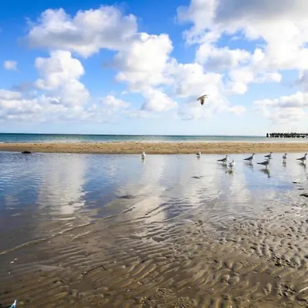 Seesternchen 2 Scharbeutz